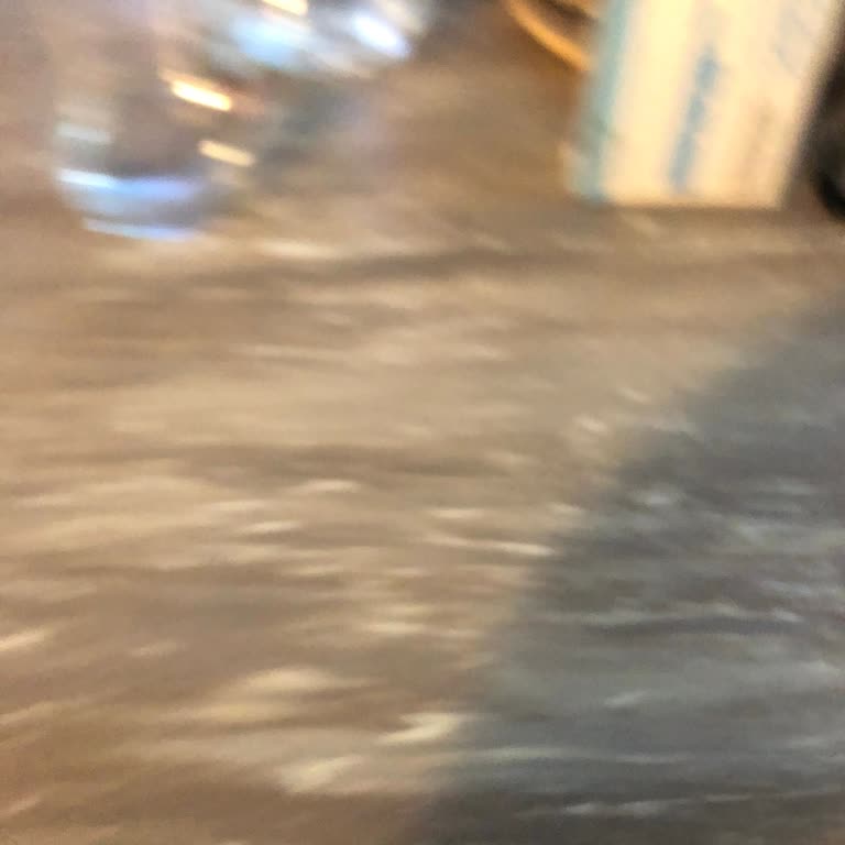 Bilgilendirme Olmadan İnternet Kesintisi Ve TÜRKSAT Fiber Mağduriyeti