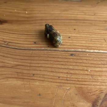 Hatiçoğlu Baklava İçinden Çıkan Sert Parça