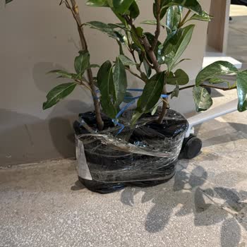 Fidancidan.com Ürün Görseli Ve Açıklamasıyla Gelen Ürün Arasında Ciddi Fark Var