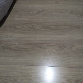 Ergül Mobilya'da Geciken Ve Kırık Koltuk Teslimatı, Cevapsız İlgisizlik