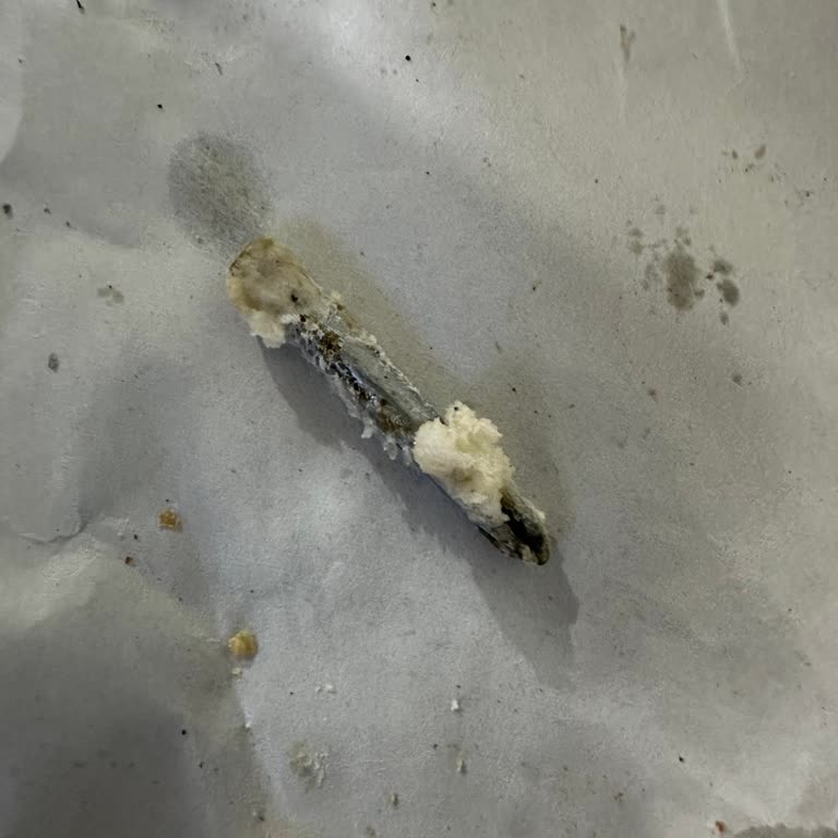 Araz Döner Kebab Ve Tantuni Salonu Ekmekten Çıkan Yabancı Madde