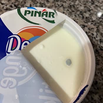 Pınar Denge Probiyotik Yoğurdunda Küflü Ürün Görülmesi Ve Açıklama Talebi