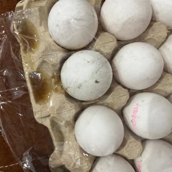 Essen Market’te Satılan Kepekçi Yumurta Çürüktü Ve Sağlık Riski Oluşturuyor
