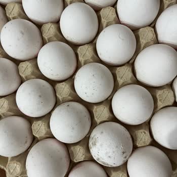 Essen Market’te Satılan Kepekçi Yumurta Çürüktü Ve Sağlık Riski Oluşturuyor