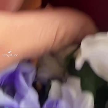 Sevgi Çiçekçilik Çürük Çiçek Ve Üslup Sorunu!