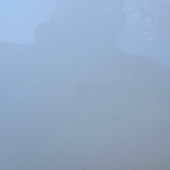 Hyundai Tucson’da Boya Ve Vernik Atması, Değişim Talebi