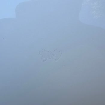 Hyundai Tucson’da Boya Ve Vernik Atması, Değişim Talebi