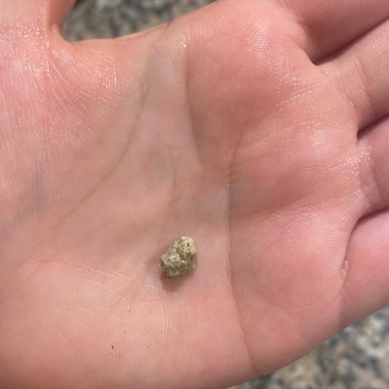 BİM Sultangazi Şubesinde Lahmacun İçinde Taş Keşfi Gıda Güvenliği Şikayeti