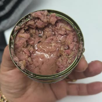 Fide Ton Balığı Paketi Bozulmuş, Çocuk Sağlığını Tehlikeye Atıyor