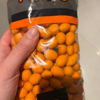 Soslu Fıstık Ürününde Sinek Bulunması