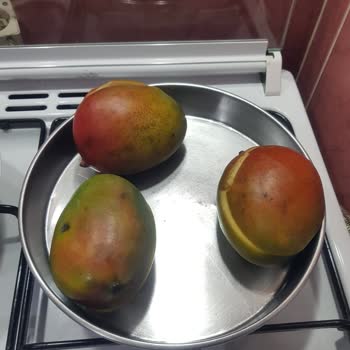 Migros Hemen Üzerinden Bozuk Mangoların Değişim Talebinin Reddedilmesi