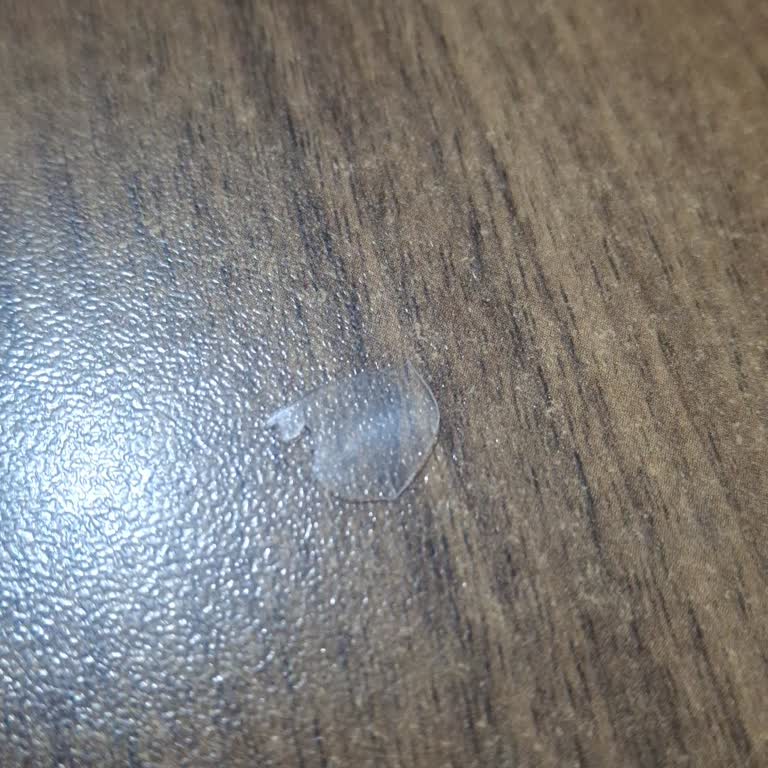 Mantar İçinde Plastik Parça: Sağlık Riski Ve Güven Kaybı