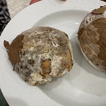 Yemeksepeti Bozuk Hindistan Cevizi Ürünü İçin İade Reddi