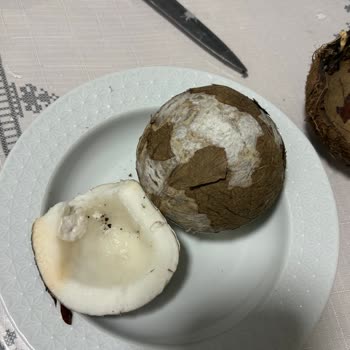 Yemeksepeti Bozuk Hindistan Cevizi Ürünü İçin İade Reddi