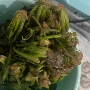 Sivas Sanal Markette Bozuk Ve Hijyenik Olmayan Gıda Teslimatı