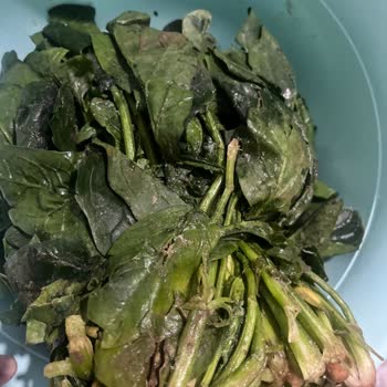 Sivas Sanal Markette Bozuk Ve Hijyenik Olmayan Gıda Teslimatı