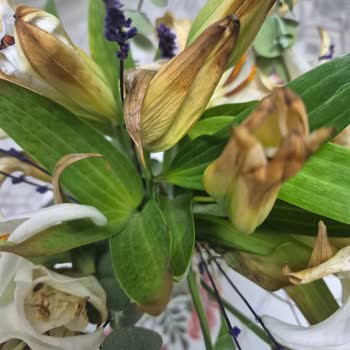 Doğum Günü Çiçeği Solmuş Ve Görseldekiyle Uyuşmuyor