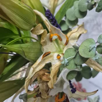 Doğum Günü Çiçeği Solmuş Ve Görseldekiyle Uyuşmuyor