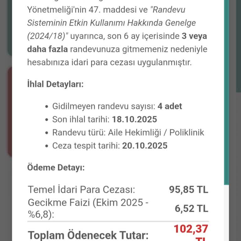 Sahte MHRS Sitesi Üzerinden Kart Bilgileri Çalınması