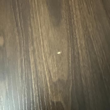 Tepe Home’dan Hatalı Ve Eksik Ürünler, Uzun Süreli Cevapsızlık