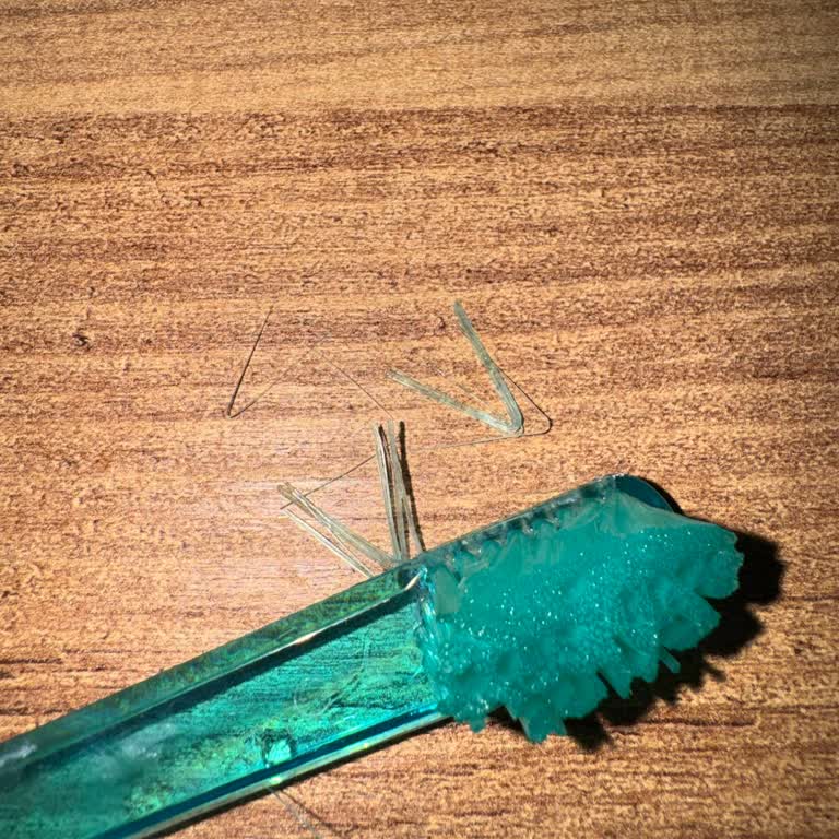 Kızımın Diş Fırçası Kılları Ağızına Dökülüyor, Geri Dönüş Yok Ve İade Talep Ediyorum