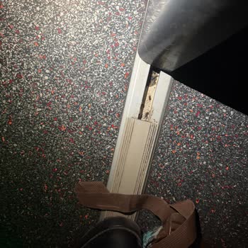 Kalorifer Böcekleriyle Dolu Otobüste Hijyen Ve Sağlık İhlali