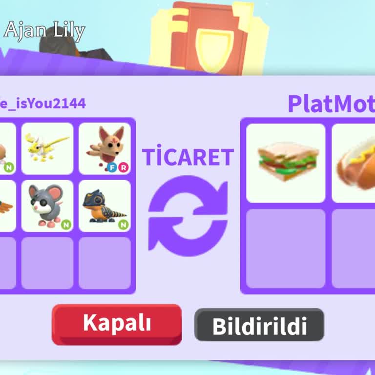 Roblox'ta Adopt Me Oyununda Değerli Eşyalarım Sandviç Karşılığında Kayboldu