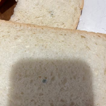 Yemeksepeti Market'te Küflü Ekmek Ve Cevapsız Müşteri Hizmeti