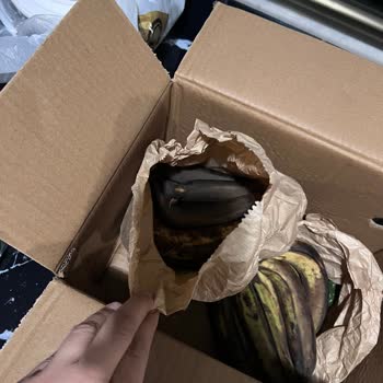 Muzların Olgunlaşmaması Ve Yanıltıcı Reklamlar