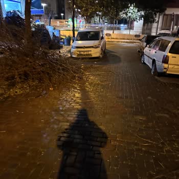 Güngören Belediyesi’nden Ağaç Dallarının Sokakta Bırakılması Nedeniyle Araç Hasarı Ve Çözüm Talebi