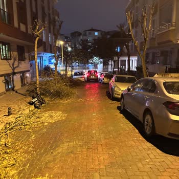 Güngören Belediyesi’nden Ağaç Dallarının Sokakta Bırakılması Nedeniyle Araç Hasarı Ve Çözüm Talebi