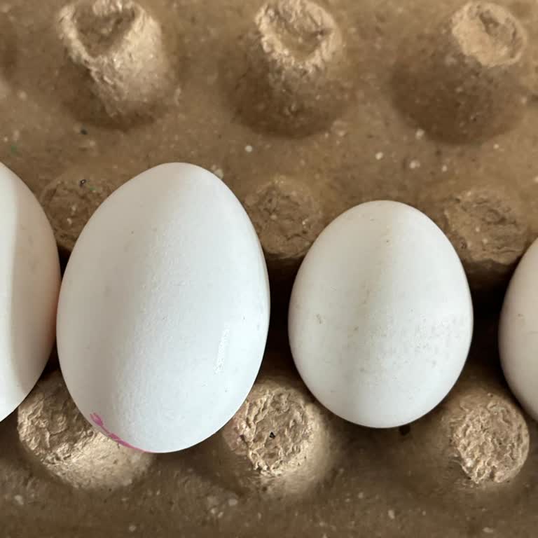 M Boy Yumurta Kolilerinde Boyut Farklılıkları Tüketiciyi Yanıltıyor