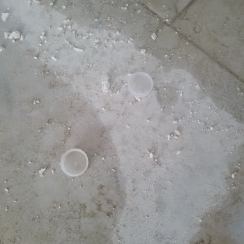 Antalya Büyükşehir Belediyesi Asat Ekiplerinin Atık Bırakması Site Sakinlerini Rahatsız Ediyor!