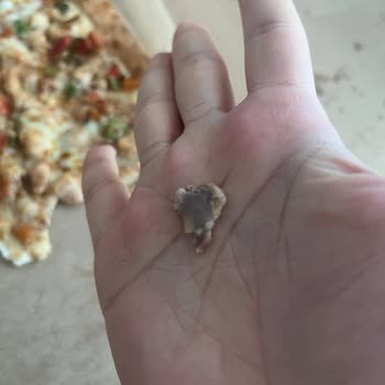 Pide İçinde Kemik Parçası: Sağlık Riski Ve Ciddi Özür Bekliyoruz