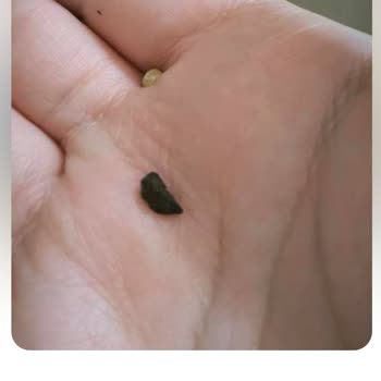 Nuh'un Ankara Makarnası Ürünün İçinden Sert, Toprak Benzeri Yabancı Madde Çıktı!