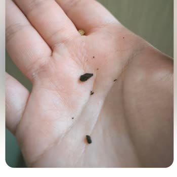 Nuh'un Ankara Makarnası Ürünün İçinden Sert, Toprak Benzeri Yabancı Madde Çıktı!