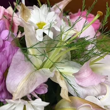 Solmuş Çiçek Teslimatı Ve Yeniden Gönderim Talebi