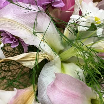 Solmuş Çiçek Teslimatı Ve Yeniden Gönderim Talebi