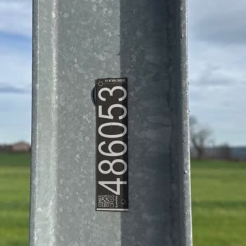 Okul Önünde Düşmek Üzere Olan Aydınlatma Direği İçin Acil İhbar Ve Onarım Talebi