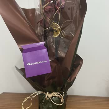 Cicekmarket.com'dan Aldığım Solmuş Orkide İçin Tam İade Talebi