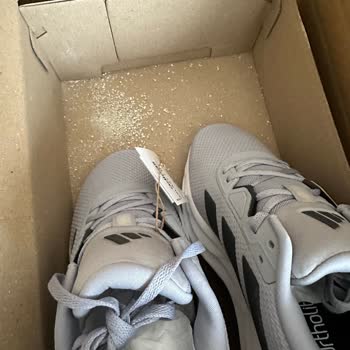 Yıpranmış Ayakkabı Ve İçindeki İnşaat Kuzu Şikayeti