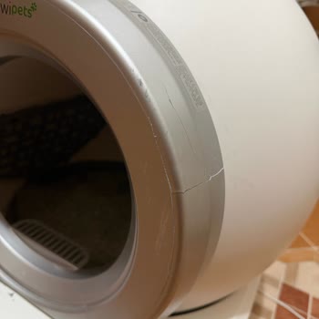 Kiwi Pets Şikayetçiyim