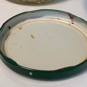 Fide Patlıcan Konservesinde Böcek Ve Kurumuş Parçalar