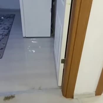 Türkiye Sigorta Su Basması Sonrası Sigorta Şirketinin Tamir Sürecinde Yetersiz Çözüm
