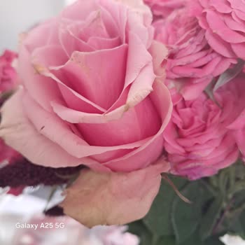 Çiçek Sepeti'nden Gelen Solmuş Çiçek Şikayeti