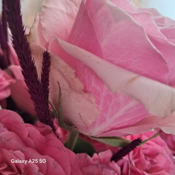 Çiçek Sepeti'nden Gelen Solmuş Çiçek Şikayeti