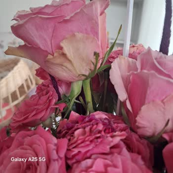 Çiçek Sepeti'nden Gelen Solmuş Çiçek Şikayeti