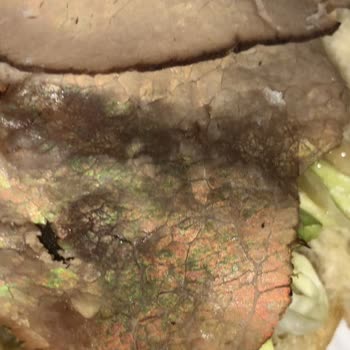 Subway Steak Found With Glitter Like Foreign Substance