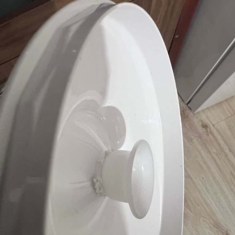Braun Blender Büyük Haznenin Kapağı Bu Kısa Süre İçinde Sıyrıldı Ve Deforme Oldu!