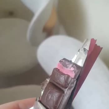 Güvendiğim Torku Ürünün Bozuk Ve Kötü Kokulu Çıkması